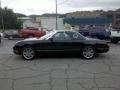 Evening Black - Thunderbird Premium Roadster Photo No. 5
