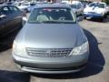 Silver Spruce Metallic - Avalon XLS Photo No. 2