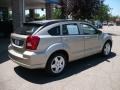 Light Sandstone Metallic - Caliber SXT Photo No. 6