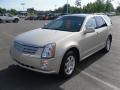 Gold Mist - SRX V6 Photo No. 1