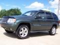 2003 Onyx Green Pearlcoat Jeep Grand Cherokee Overland 4x4  photo #2