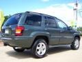 2003 Onyx Green Pearlcoat Jeep Grand Cherokee Overland 4x4  photo #3