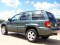 2003 Onyx Green Pearlcoat Jeep Grand Cherokee Overland 4x4  photo #4