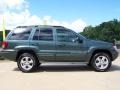 2003 Onyx Green Pearlcoat Jeep Grand Cherokee Overland 4x4  photo #11