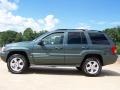 2003 Onyx Green Pearlcoat Jeep Grand Cherokee Overland 4x4  photo #12