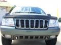 2003 Onyx Green Pearlcoat Jeep Grand Cherokee Overland 4x4  photo #16