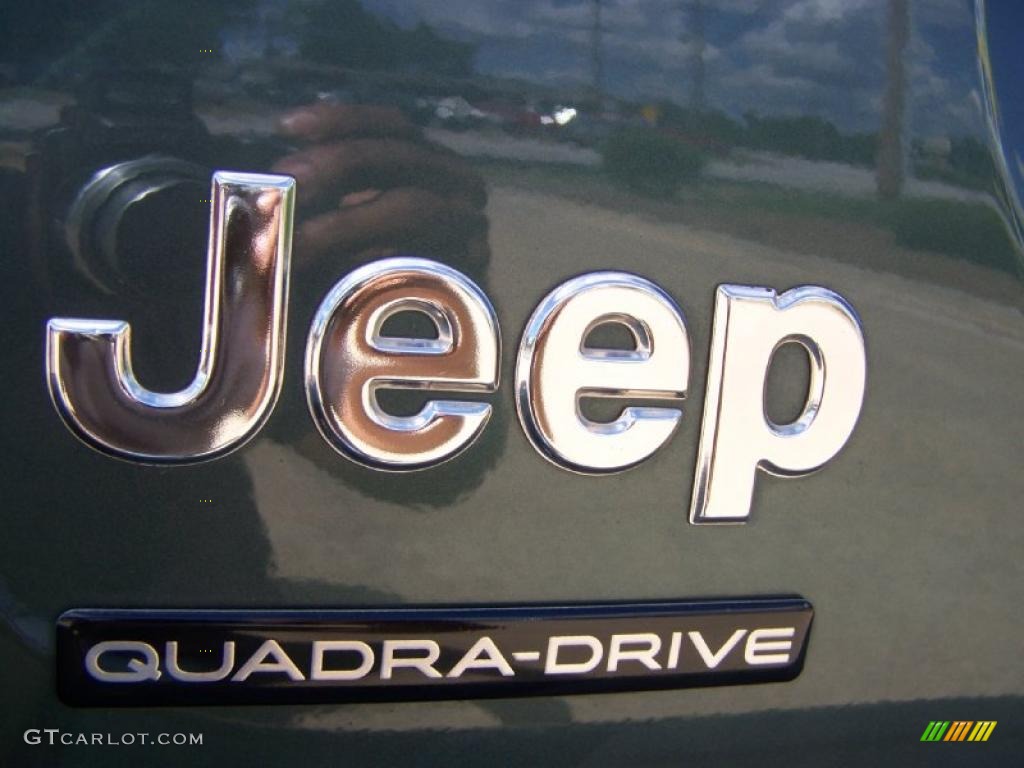 2003 Grand Cherokee Overland 4x4 - Onyx Green Pearlcoat / Dark Slate Gray/Light Slate Gray photo #19