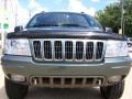 2003 Onyx Green Pearlcoat Jeep Grand Cherokee Overland 4x4  photo #52