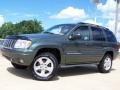 2003 Onyx Green Pearlcoat Jeep Grand Cherokee Overland 4x4  photo #56