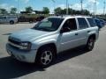 2007 Moondust Metallic Chevrolet TrailBlazer LS 4x4  photo #11