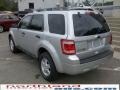 2010 Ingot Silver Metallic Ford Escape XLT V6 4WD  photo #8