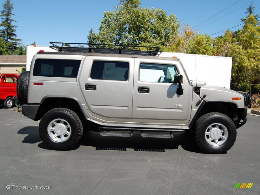 2004 H2 SUV - Pewter Metallic / Wheat photo #1