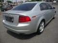 Alabaster Silver Metallic - TL 3.2 Photo No. 5