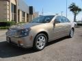Radiant Bronze - CTS Sedan Photo No. 3