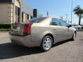 Radiant Bronze - CTS Sedan Photo No. 6