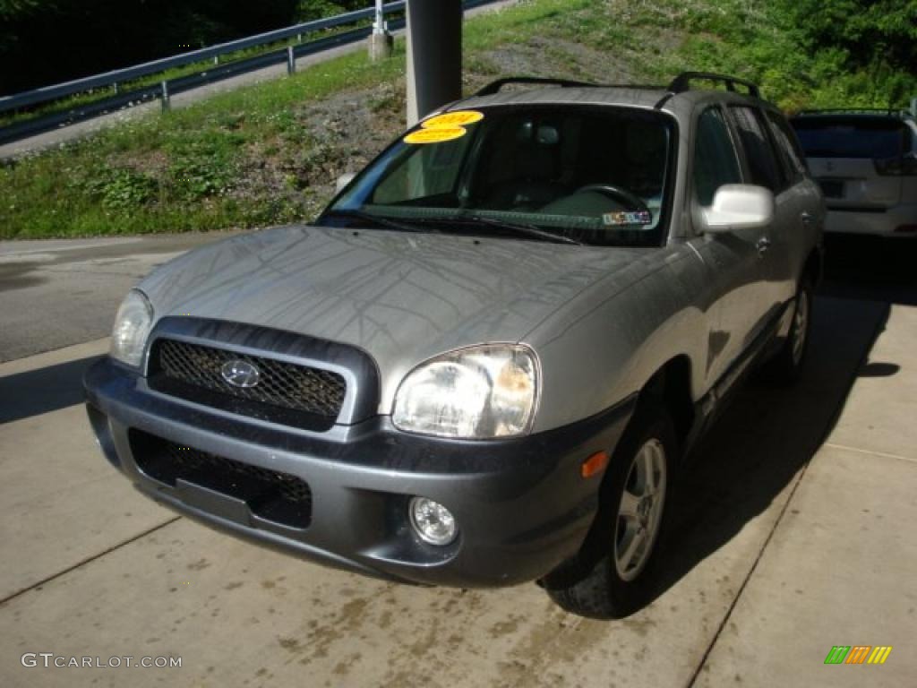 2004 Santa Fe LX 4WD - Pewter / Gray photo #5