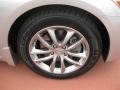 Liquid Platinum Silver - G 35 Sedan Photo No. 22
