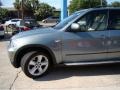 Mineral Green Metallic - X5 3.0si Photo No. 38