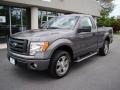 2010 Sterling Grey Metallic Ford F150 STX Regular Cab  photo #2