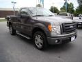 2010 Sterling Grey Metallic Ford F150 STX Regular Cab  photo #4