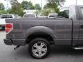 Sterling Grey Metallic - F150 STX Regular Cab Photo No. 28