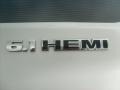 Bright Silver Metallic - Challenger SRT8 Photo No. 23