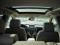 Platinum Ice Tricoat - SRX V6 Photo No. 10