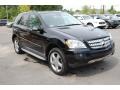 Black - ML 350 4Matic Photo No. 1