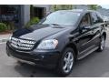 Black - ML 350 4Matic Photo No. 13