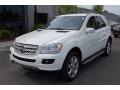 Alabaster White - ML 350 4Matic Photo No. 13