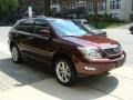 2008 Brandywine Mica Lexus RX 350 AWD  photo #3