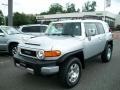 Titanium Metallic - FJ Cruiser 4WD Photo No. 1