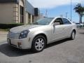 Gold Mist - CTS Sedan Photo No. 3