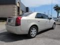 Gold Mist - CTS Sedan Photo No. 6