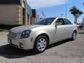 Gold Mist - CTS Sedan Photo No. 3