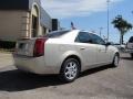 Gold Mist - CTS Sedan Photo No. 6