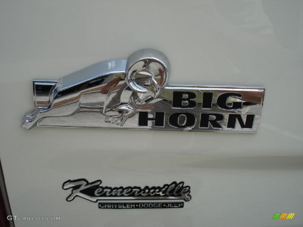 2010 Ram 1500 Big Horn Quad Cab 4x4 - Stone White / Dark Slate/Medium Graystone photo #14