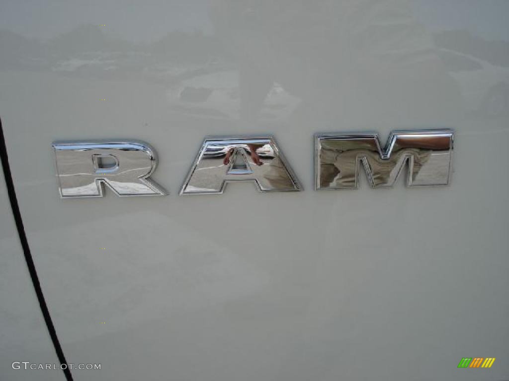 2010 Ram 1500 Big Horn Quad Cab 4x4 - Stone White / Dark Slate/Medium Graystone photo #20