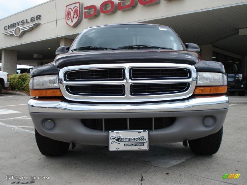 2000 Dakota SLT Regular Cab - Dark Garnet Red Pearl Coat / Agate photo #8