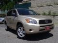 2007 Savannah Metallic Toyota RAV4 4WD  photo #1