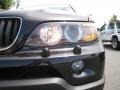 Jet Black - X5 3.0i Photo No. 17