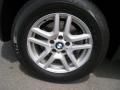 Jet Black - X5 3.0i Photo No. 18