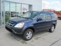 2002 Eternal Blue Pearl Honda CR-V EX 4WD  photo #2