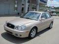 2005 Golden Beige Hyundai Sonata GLS V6  photo #2