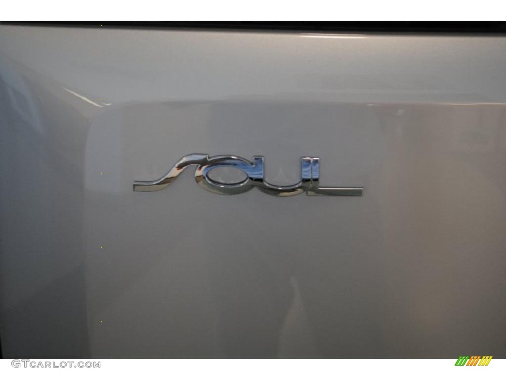 2010 Soul + - Bright Silver / Black Soul Logo Cloth photo #46