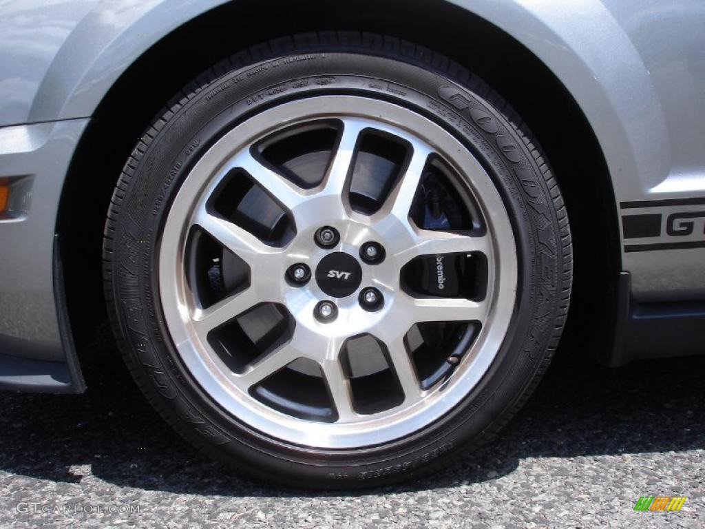 2008 Mustang Shelby GT500 Coupe - Vapor Silver Metallic / Black photo #8