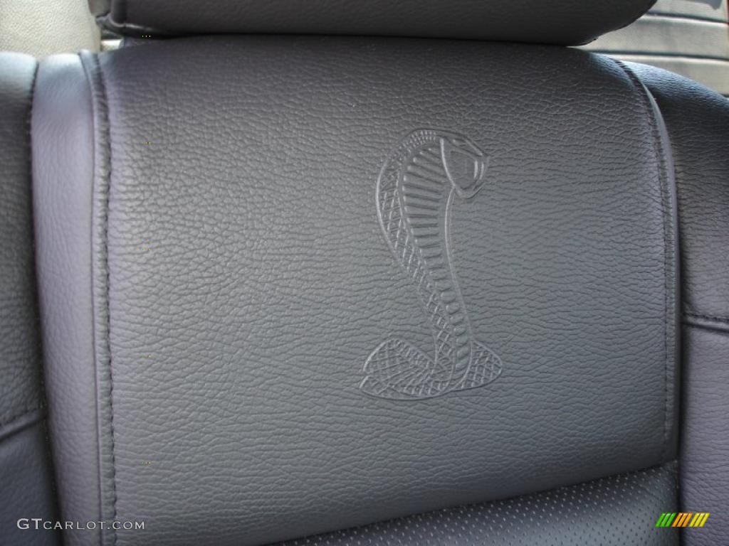 2008 Mustang Shelby GT500 Coupe - Vapor Silver Metallic / Black photo #18