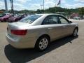 Camel Pearl - Sonata GLS Photo No. 4