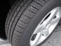 Bright Silver Metallic - Charger 3.5L Photo No. 14