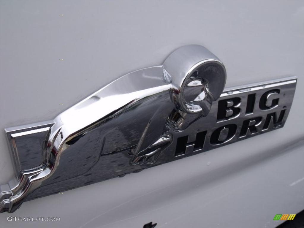 2010 Ram 1500 Big Horn Quad Cab 4x4 - Stone White / Light Pebble Beige/Bark Brown photo #9